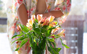 A bunch of flowers are centered in the frame with a blurred woman holding them in the background.