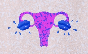 A purple female reproductive system has two blue lips over the ovaries.