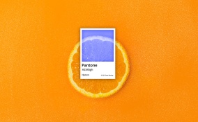 A Pantone color sheet for hymen is on top of a circle slice of orange.