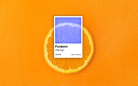 A Pantone color sheet for hymen is on top of a circle slice of orange.