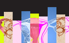 Various illustrations of the female reproductive system are collaged together against a black background.