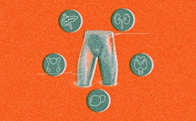 On top of an orange background, a green drawing of a human crotch and thighs is surrounded by five outlined organs in green circles.