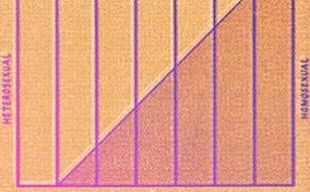 A diagonal line charts through the Kinsey Scale partly shaded in purple against an orange background.