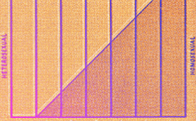 A diagonal line charts through the Kinsey Scale partly shaded in purple against an orange background.