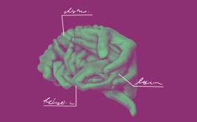 Intertwined hands with a green filter form the shape of a labeled brain on a purple background.