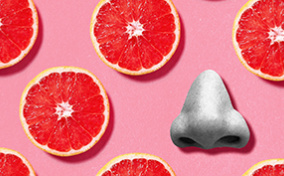 Slices of grapefruit lay against a pink background next to a grey nose.