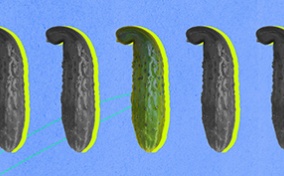 Five pickles are lined up in a row against a blue background with one side curving to the left.