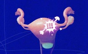 The female reproductive system sits against a blue background as a white cloud with three exclamation points hovers over it.