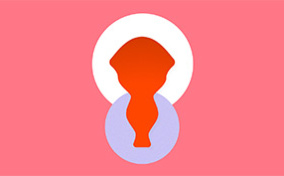 A red shape on a pink background depicts a uterus and vagina.