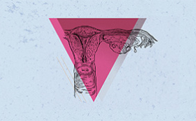 One side of the female reproductive system has a pink, upside-down triangle over top.