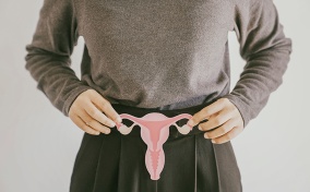A person in a grey shirt and black pleated pants holds a cut out of a female reproductive system over their low belly.