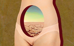 A female body has a hole in the center of its abdomen with the landscape of a dried-up lake bed in it.
