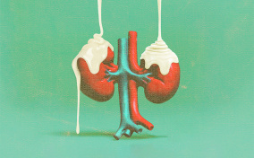 Two red kidneys on a green background have white goo dripping onto them from above.