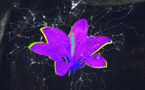 A purple filtered lily has electrical signals surrounding it.