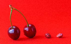 A pair of cherries on stems is on the left and a pair of cherry pits is on the right.
