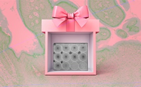 A pink gift box is open on the front side to show an STI screening test.