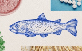 A drawing of a blue fish is surrounded by other printed images, including white pills and green leaves.