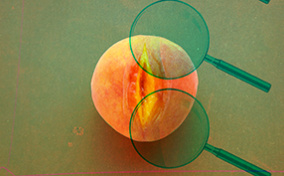 A peach has a large cut down the center of it as a patter of green magnifying glasses layer over it.