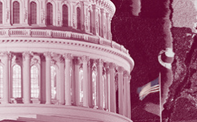A pinkish-purple image of the congressional capital building is tearing on the right side.