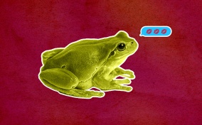 A green frog sits on a dark red background with a text bubble full of lips emojis above its head.