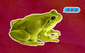A green frog sits on a dark red background with a text bubble full of lips emojis above its head.