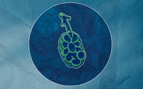 A green outline of a lung is inside of a blue circle against a light blue background.