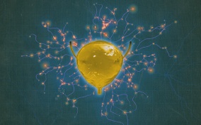 A yellow bladder has glowing nerves spreading out from it.
