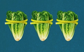 Three heads of cabbage are lined up in a row with measuring tape wrapped around each one.