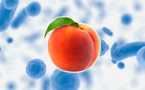 A peach is in the center of a background of a blue microbiome.