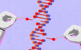 Two gloved hands pick genes out of a DNA strand.