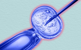 A needle inserts eggs during IVF.