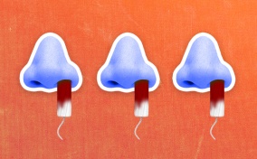 Three purple noses are in a row with bloody tampons up the left nostril.