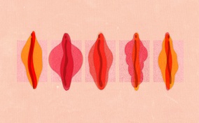 A row of five different shapes of labia are in different hues of red against a peach background.