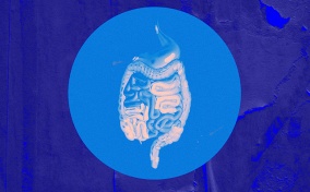 The digestive system is inside of a blue circle against a purple background.