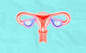 The female reproductive system is against a teal background.