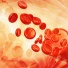 Blood cells pour out of a drawn blood vessel.