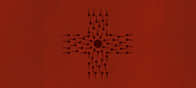 medical-cross-shape-sperm-leading-towards-embryo