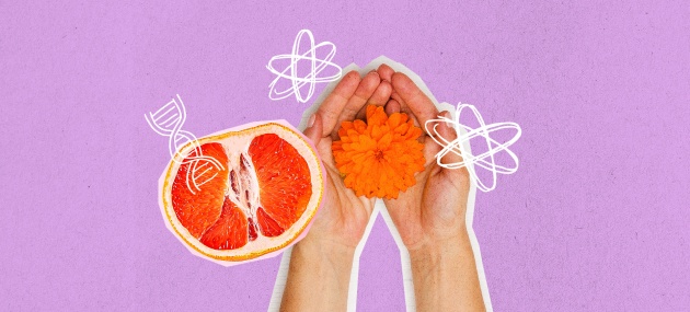 Two-hands-holding-a-flower-in-their-palms-with-a-grapefruit-nearby