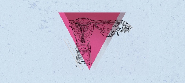 An outline of an ovary and uterus are against a pink triangle.