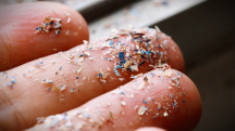 A close up photograph shows small pieces of microplastics held up on a set of fingers.